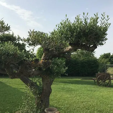 Certe Notti Langhe Bed & Breakfast Casa Furno