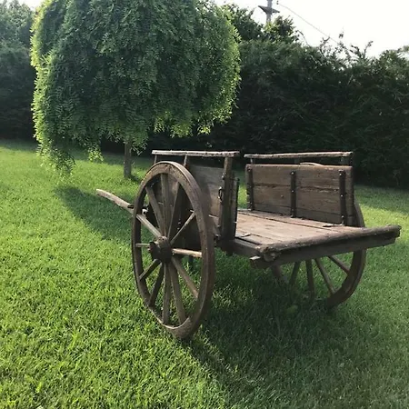 Certe Notti Langhe